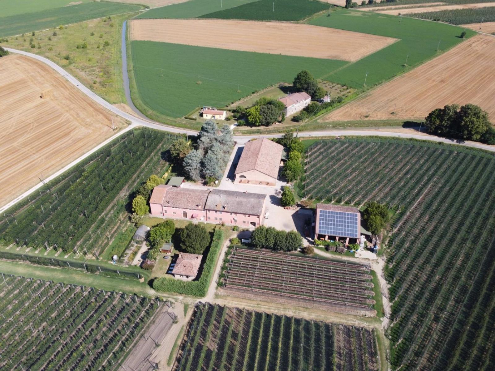 Agriturismo Fondo Novelle La Casina Ferrara Exterior foto